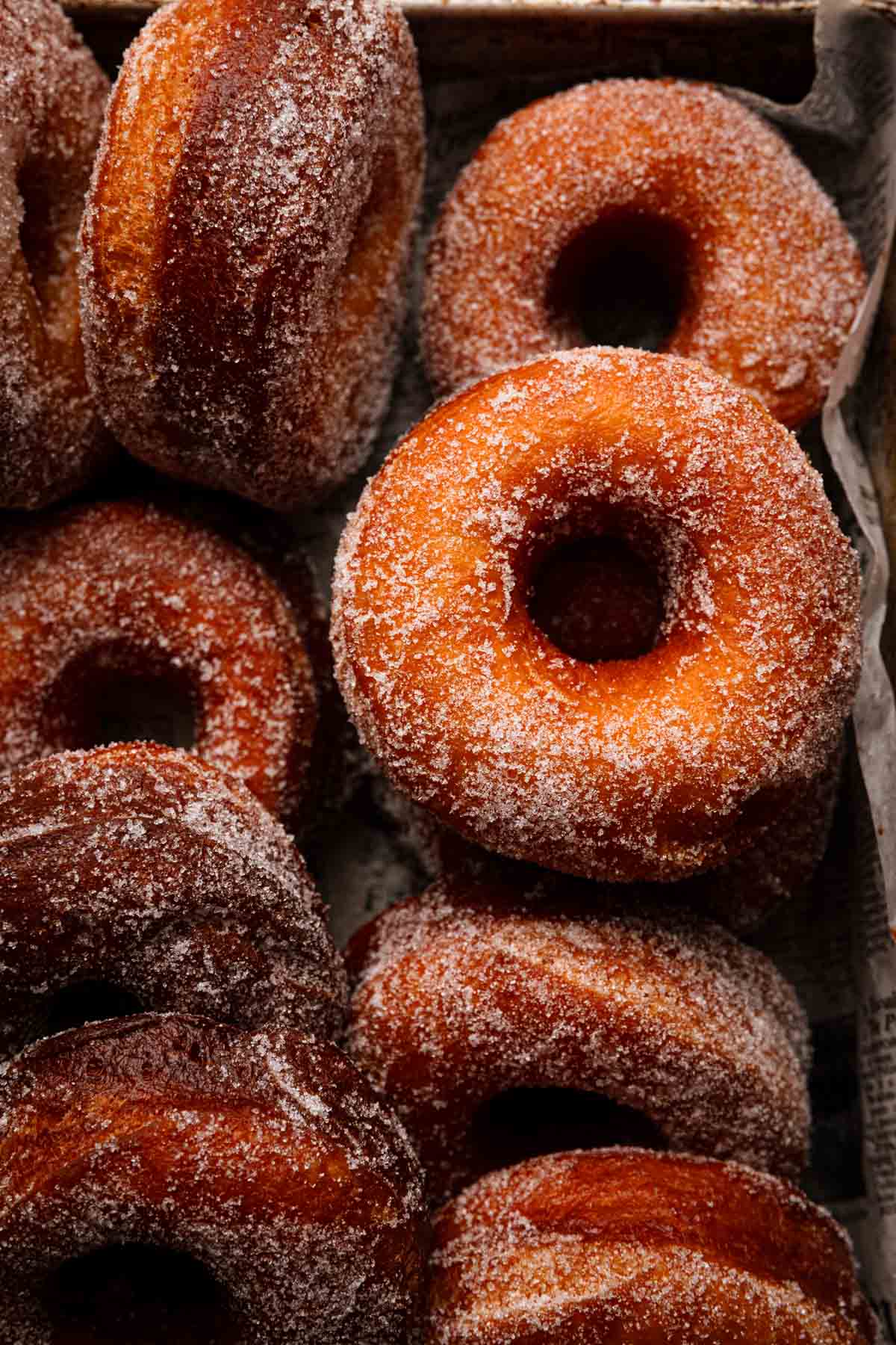 Fried donuts coated with sugar.