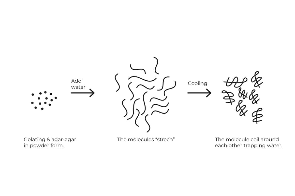 illustration of how gelatin work