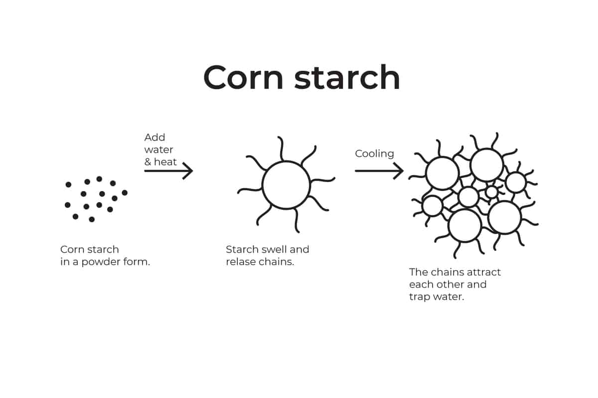 an illustration of how corn starch thicken