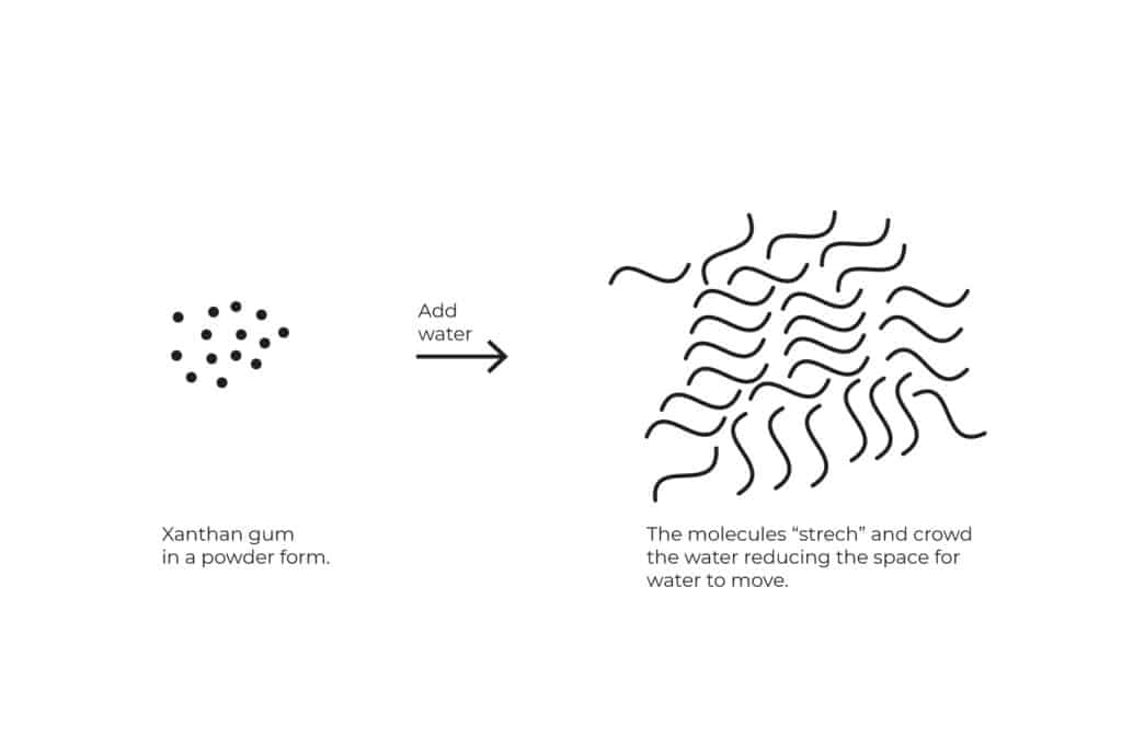 What is heavy cream, and the difference vs. whipping cream