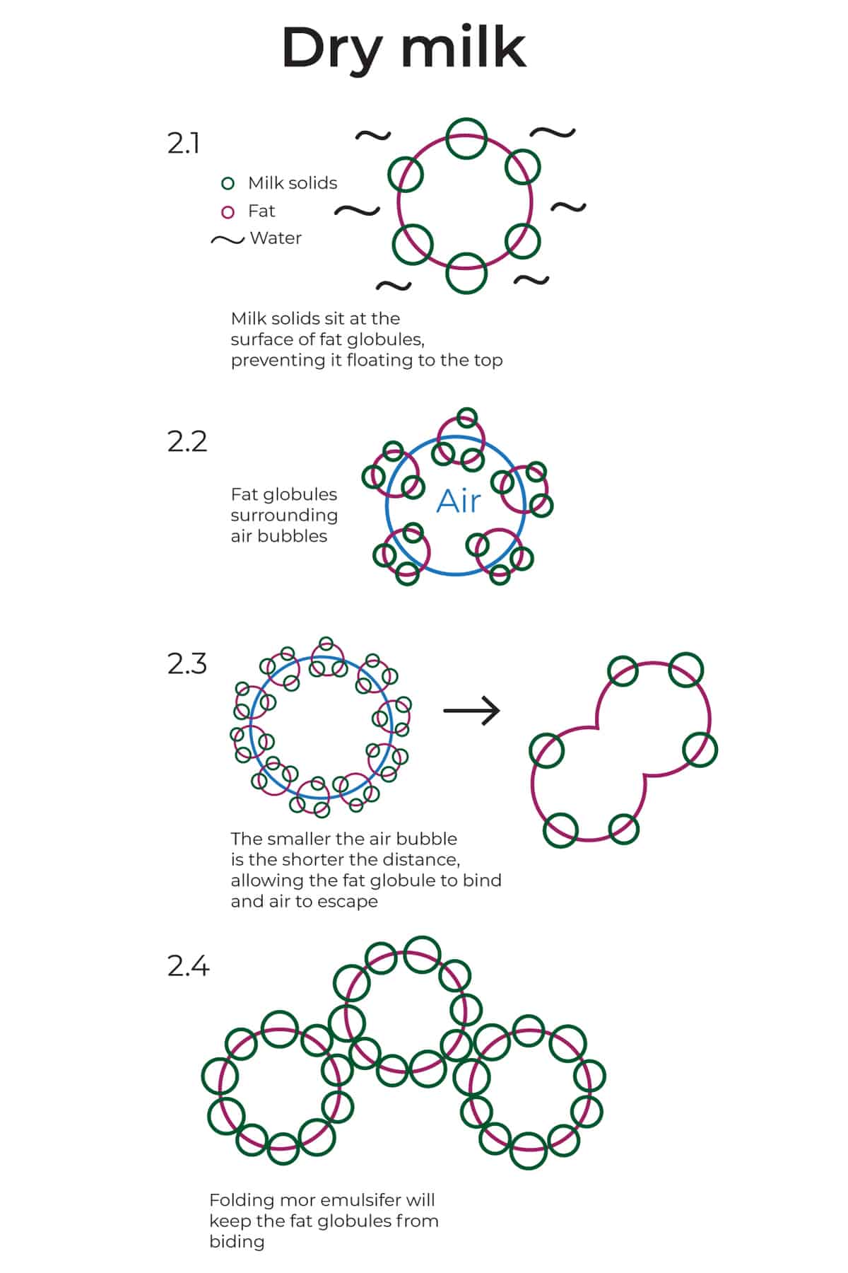 an illustration of the fat and air molecules in heavy cream when using dry milk powder as a stabilizer.