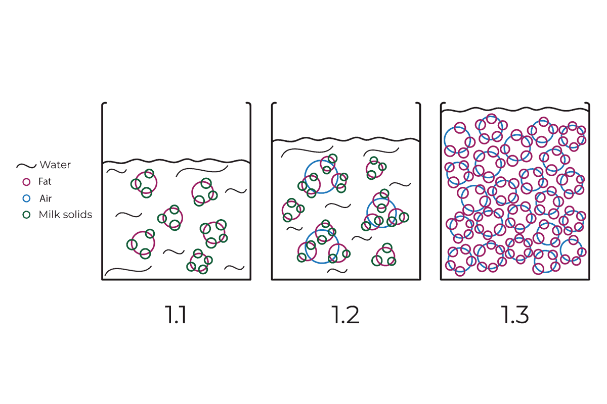 fat globules in heavy cream attached by proteins. When whipping the fat globules trap the air in the shape of bubbles.