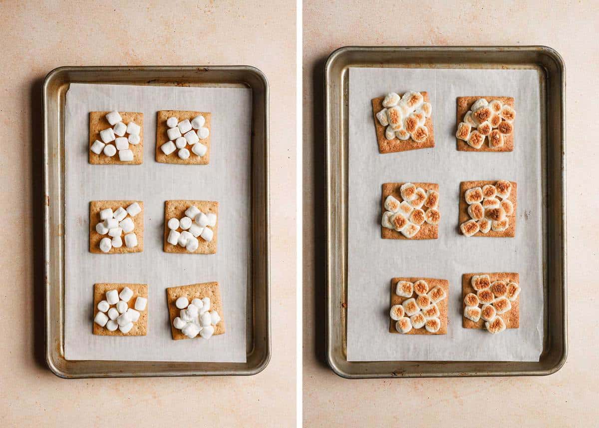 Graham crackers and marshmallow