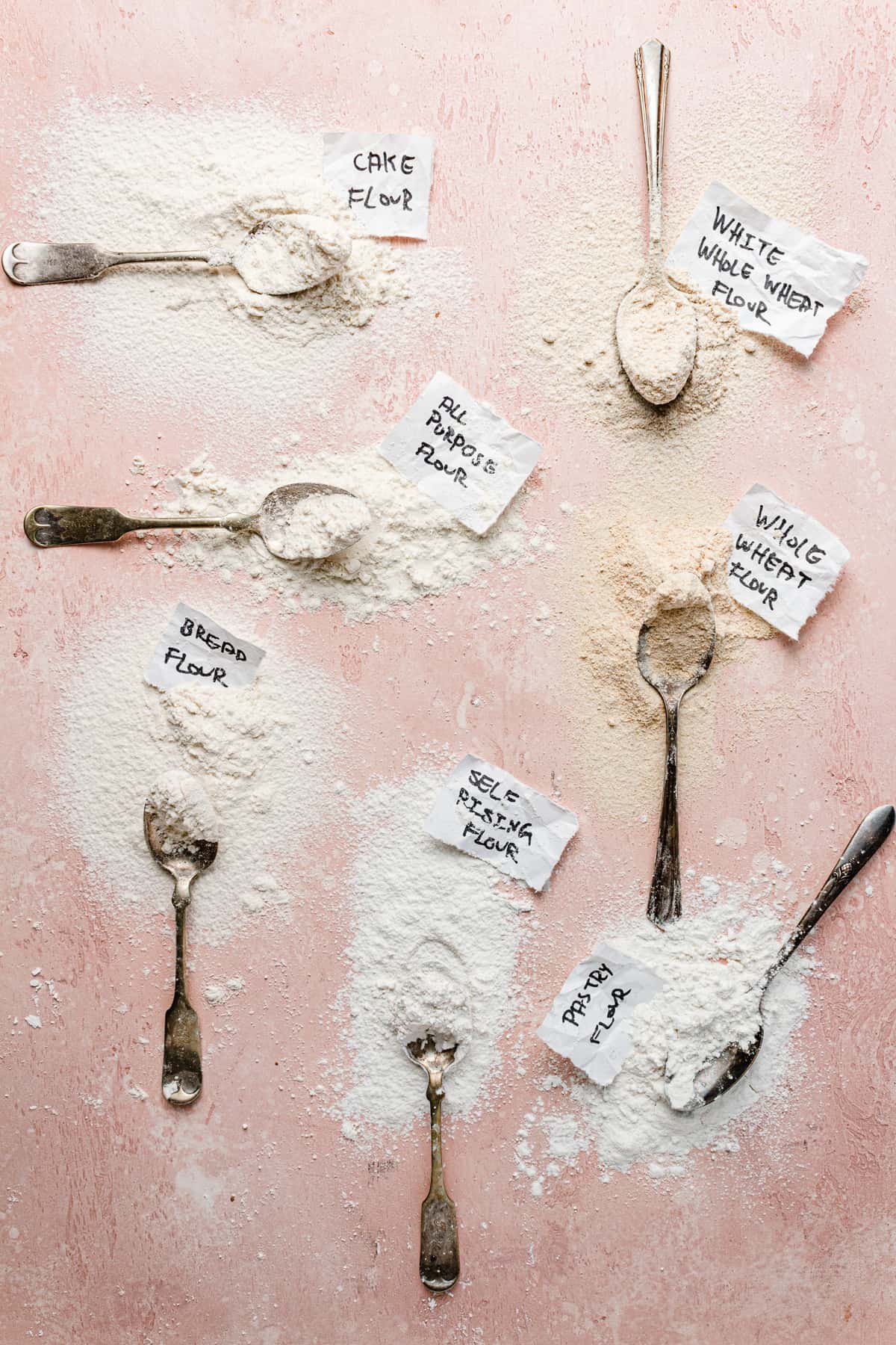 Different tea spoons dipped into different types of flour for Baking conversions charts