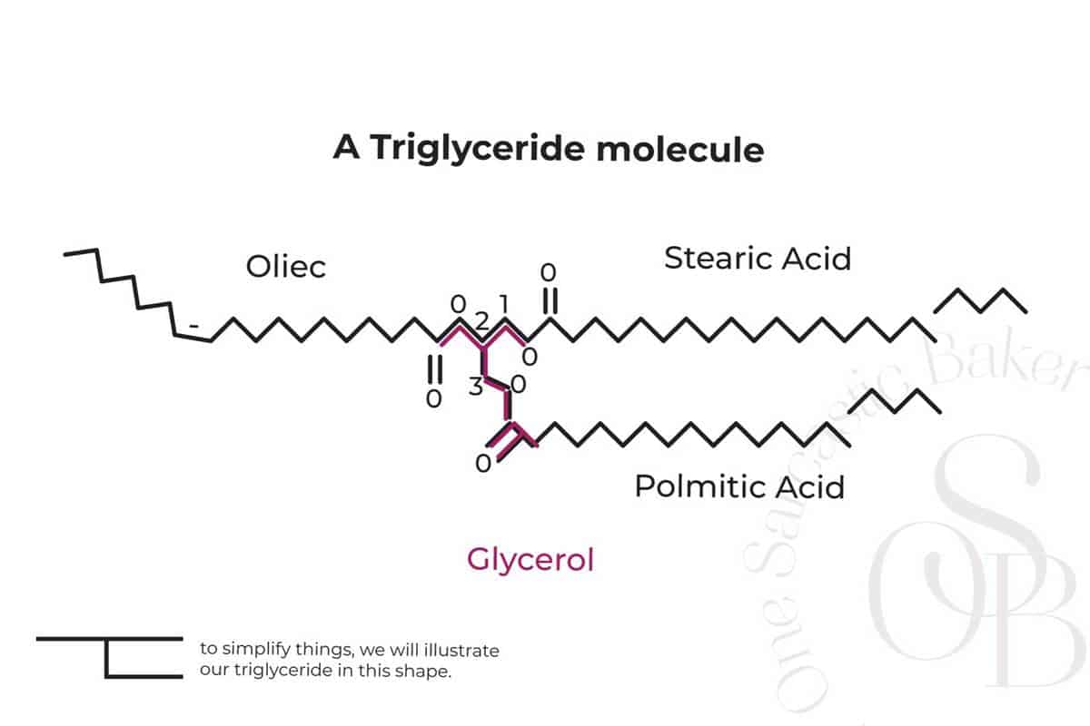 Triglyceride molecule structure