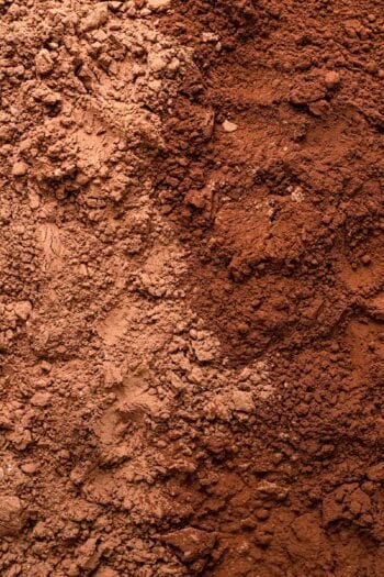 Natural cocoa powder and Dutch process cocoa powder