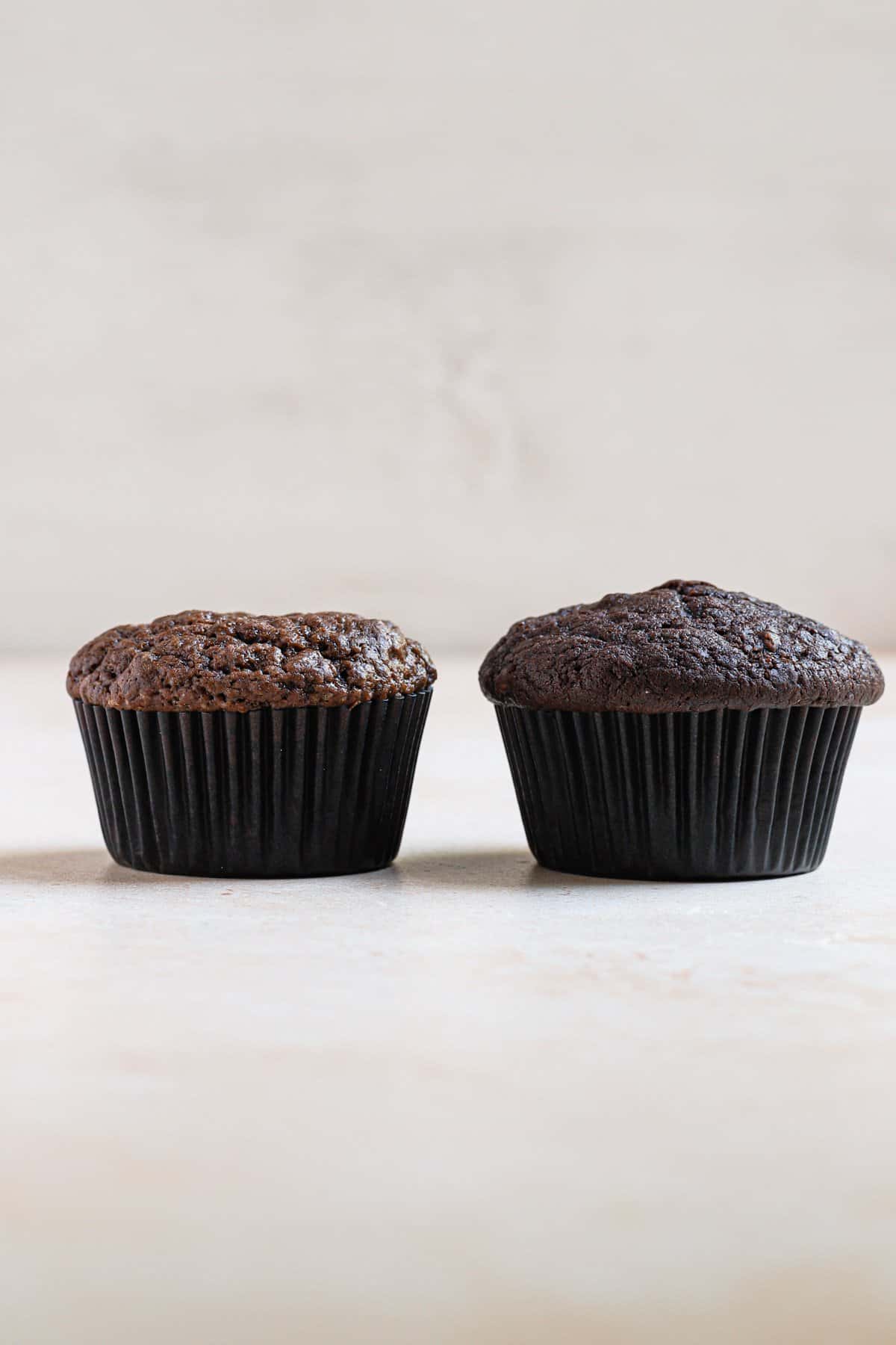 two double chocolate muffins