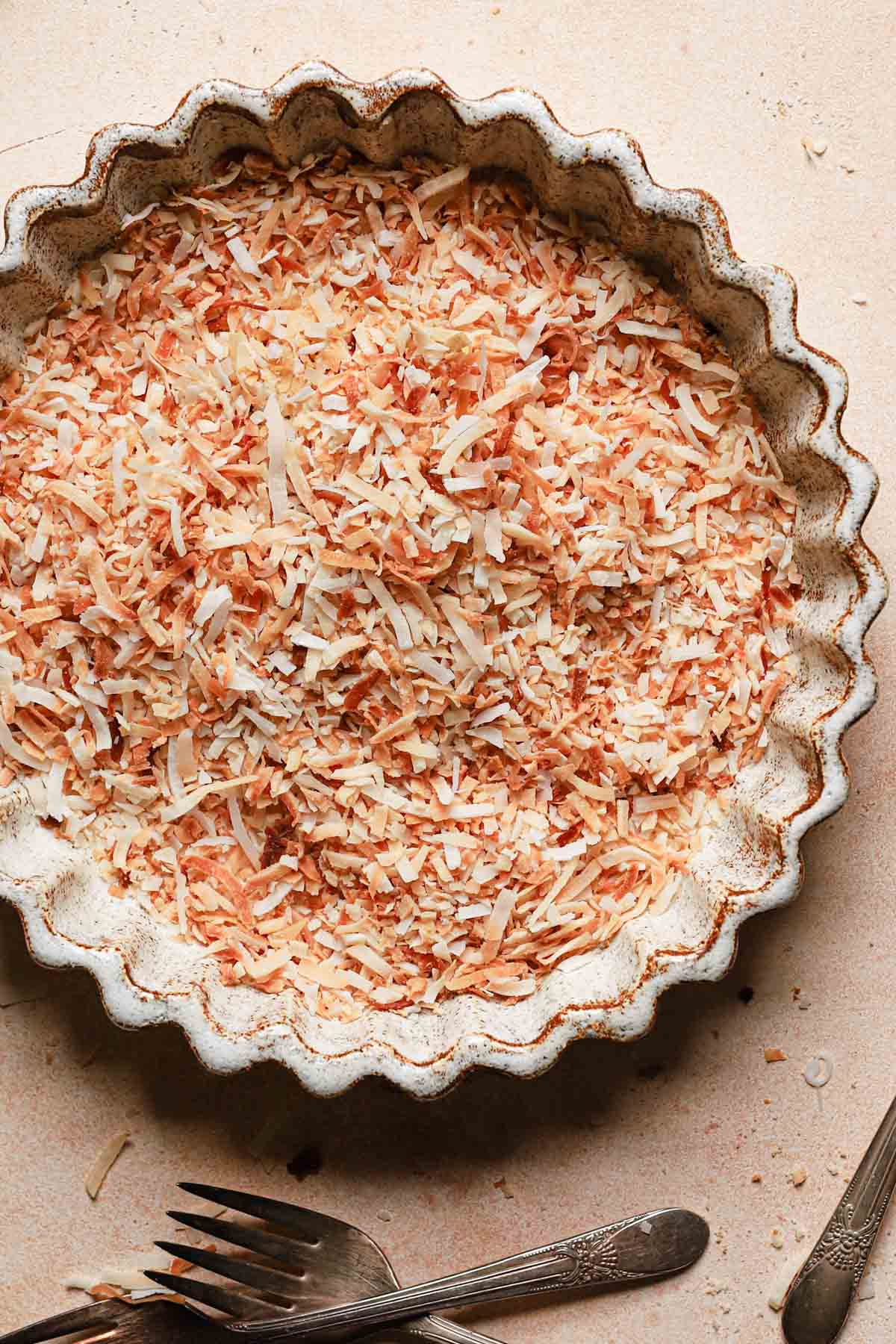 toasted coconut flakes in a bowl