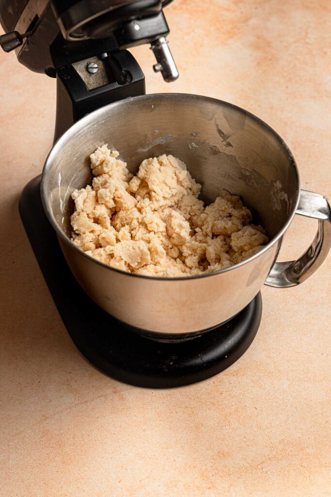 A standing mixer with a bowl full of flour mixture.